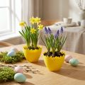 Egg cup Ø17cm 20 pcs yellow | Floristik24.co.uk