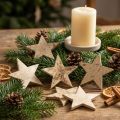 Coconut Star Nature 5cm 50pcs | Floristik24.co.uk