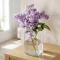 Glass vase clear cylindrical Ø12cm H20cm | Floristik24.co.uk