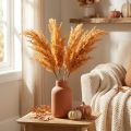 Artificial Orange Pampas Grass 35cm, Pack of 4mp | Floristik24.co.uk