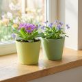 Paper pot, mini plant pot, cachepot blue/green Ø9cm H7.5cm 4pcs | Floristik24.co.uk