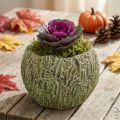Planter concrete antique look green, brown planter Ø13cm | Floristik24.co.uk