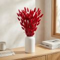 Rabbit's Tail Grass (Lagurus) Dried Red 60cm 50g Dried Flower Decoration | Floristik24.co.uk