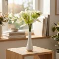 Artificial orchids artificial flowers in vase white/green 28cm | Floristik24.co.uk