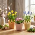 Planter paper woven vanilla, orange, pink Ø7cm H13cm 12 pcs | Floristik24.co.uk