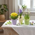 Plant pot woven planter paper green, yellow, purple Ø7cm H13cm 12pcs | Floristik24.co.uk