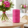 Jute ribbon cord jute decorative ribbon jute fuchsia Ø4mm 100m | Floristik24.co.uk