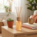 Room Fragrance Diffuser Glass Ginger Camila Fragrance Sticks 100ml | Floristik24.co.uk