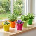 Planter for potted plants colorful assorted Ø10.5cm 10 pcs | Floristik24.co.uk