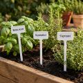 Plant label for changing 32cm 10pcs | Floristik24.co.uk