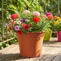 Pot “Irys” plastic terracotta Ø33cm H27,5cm 1 pc | Floristik24.co.uk