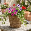 Vine planter basket Ø25cm H22.5cm natural planter | Floristik24.co.uk