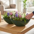 Stylish boat bowl in dark green – perfect for planting – 39cm 2pcs | Floristik24.co.uk
