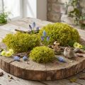 Decorative moss artificial green brown – moss cushion 10/12/14cm 3 pcs | Floristik24.co.uk