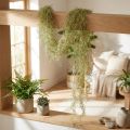 Tillandsia decoration hanging Tillandsia artificial green white 180cm | Floristik24.co.uk