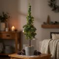 Pointed fir in pot artificial Christmas tree Ø12cm H70cm | Floristik24.co.uk