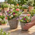 Natural Wicker Plant Pots with Plastic Lining - 2-Piece Set, Ø12.5cm/20cm | Floristik24.co.uk