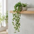 Echeveria Artificial Hanging Plants in Green W12cm L50cm | Floristik24.co.uk