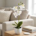White orchid artificial flowers in pot Phalaenopsis H33cm | Floristik24.co.uk