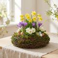 Round Natural Woven Planter with Moss and Inner Liner – 20cm | Floristik24.co.uk