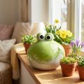 Frog decorative figure, cute