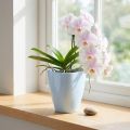 Orchid pot glossy Ø12.5cm white 1 pc | Floristik24.co.uk