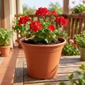 Pot “Irys” plastic terracotta Ø19cm H16cm 1 pc | Floristik24.co.uk
