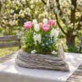 Plant heart plant bowl rattan heart white natural 28x34cm | Floristik24.co.uk