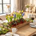 Decorative tray oblong wooden tray with handles beech 50×19,5cm | Floristik24.co.uk