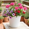 Plastic Pot "Irys" White Ø22cm H18cm 1 pc | Floristik24.co.uk