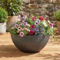 Plant pot bowl plastic anthracite Ø40cm H18.5cm | Floristik24.co.uk