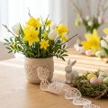 Velvet ribbon Easter eggs decorative ribbon Easter cream 40mm 5m | Floristik24.co.uk