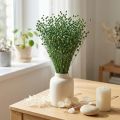 Dried Flax Grass, Green, 50-55cm, Decorative DIY | Floristik24.co.uk