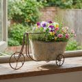 Planting bicycle flowerpot