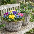 Vintage wicker plant basket, Ø25 cm, H21 cm, grey/white, set of 2 | Floristik24.co.uk