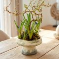 Decorative bowl ceramic with base cream grey-green Ø17cm 10cm | Floristik24.co.uk
