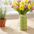 Jute ribbon light green jute cord ribbon jute green Ø3mm 200m | Floristik24.co.uk