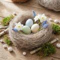 Natural craft material palm fibers, white washed, 1kg Palmyra palm for decoration &amp; crafts | Floristik24.co.uk
