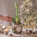 Decorative Glass Vase Lantern Glass Clear Ø18cm H20cm | Floristik24.co.uk