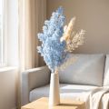 Light blue feather asparagus decorative asparagus dried flowers 55-70cm | Floristik24.co.uk
