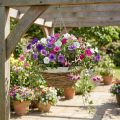 Plant bowl, hanging basket, hanging basket natural, white Ø35cm | Floristik24.co.uk