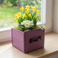 Plant drawer wooden decorative plant box purple 12.5cm | Floristik24.co.uk