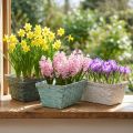 Planter, plant basket woven, chip basket square green/white 25cm 6 pcs | Floristik24.co.uk