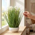 Decorative grass with Cosmea flowers in a bowl H45cm | Floristik24.co.uk