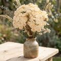 Yarrow artificial cream Achillea artificial flowers 30cm 6 pcs | Floristik24.co.uk