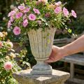 Plant pot Cast stone Antique style Grey Ø17.5cm H25cm | Floristik24.co.uk