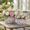 Plant pot roses, decorative vessel, flower tray 21.5cm / 18.5cm set of 2 | Floristik24.co.uk
