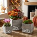 Wooden cubes with mushrooms, autumn decoration, plant box 20/16/12 cm, set of 3 | Floristik24.co.uk