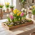 Decorative wooden tray, oblong, FSC certified, natural finish, 58cm x 28cm x 6cm | Floristik24.co.uk