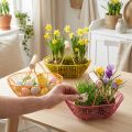 Wire basket with wooden handle. Handy design. Ideal for spring decorations, home and office. 17cm, 6 pieces. | Floristik24.co.uk